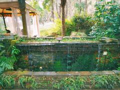 -野蔓果·山野菜(西湖景区·龙井茶田店)