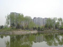 -望湖公园