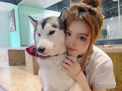 -Husky Go! 哈士奇体验馆·宠物咖啡厅狗咖