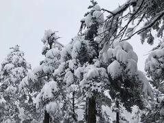 -西岭雪山大飞水景区