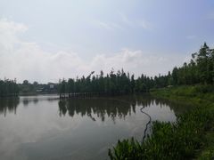 -白鹭湾湿地公园