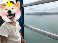 -琴岛之星摩天轮