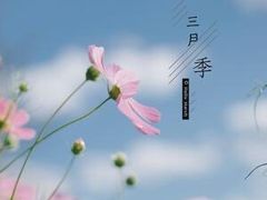 -罗子龙罗家桂花汤圆(曹都巷店)