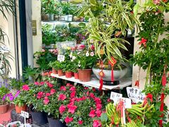 -溪岸路花鸟市场