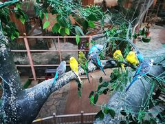 -南宫五洲植物乐园