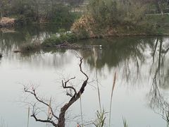 -木守西溪溪隐餐厅
