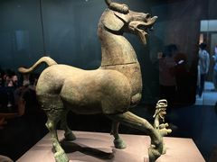 -广西壮族自治区博物馆