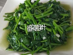 -领鲜土菜馆