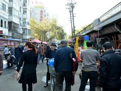 -哈尔滨道外花鸟鱼市场