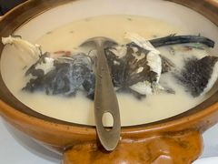 -全乐鱼馆·淳牌有机鱼直营店