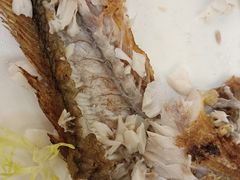 -鹭园酒家·四十年老字号