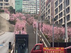 -白鹤梁水下博物馆