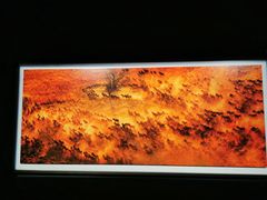 -罗红摄影艺术馆