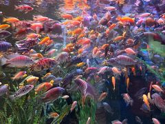 -正佳极地海洋世界