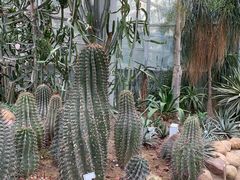 -郑州植物园