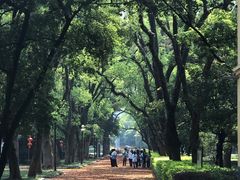 -桂林独秀峰王城景区