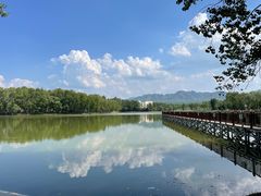 -中华三祖圣地黄帝城遗址文化旅游区