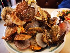 蒸扇贝-北方饺子王·海肠捞饭·海鲜锅(山大店)