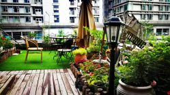 -花间禅净·瑜伽