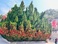 -莆田湄洲妈祖祖庙