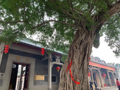 -悦城龙母祖庙