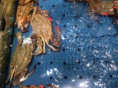 -潮庭·大连海鲜·炭火烧烤·扇贝王(大连店)