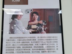 -美联众合动物医院·24h转诊中心