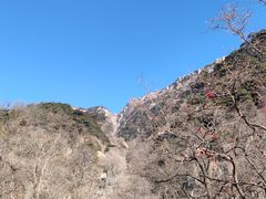 -泰山风景名胜区