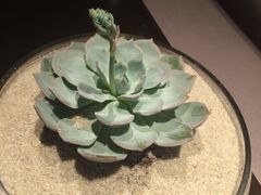 iphone_upload_pic-广州花都木莲庄酒店
