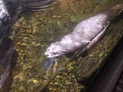 -暹罗海洋世界