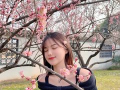 -东湖磨山景区樱花园-停车场