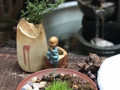 -普洱茶府(博乐广场店)
