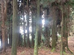 -四川省成都市彭州市白鹿镇