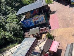 -梦幻奥陶纪景区