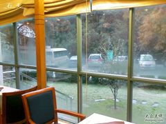 窗外的停车场-天明山温泉大酒店
