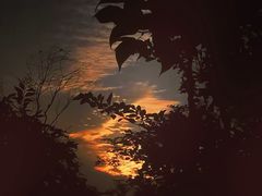 -紫金山天文台