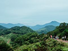 -大姆山草场