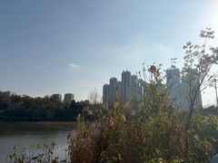 -月湖风景区