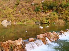 -白河湾生态旅游一条川