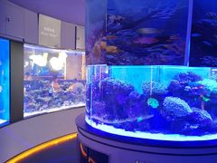 -上和臻品中国菜(花园街店)