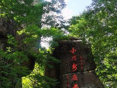 -汤旺河林海奇石景区