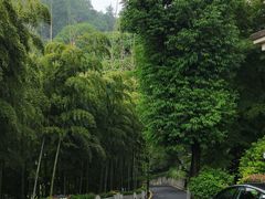 -莫干山风景区
