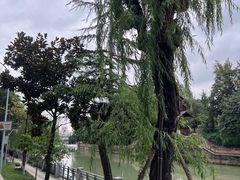 -成都市活水公园