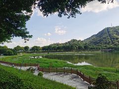 -风云岭森林公园