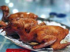 -石岐乳鸽村(南海第三分店)