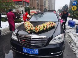 -蚂蚁婚车
