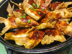石锅鮰鱼翅-新东坡酒楼(报社街店)