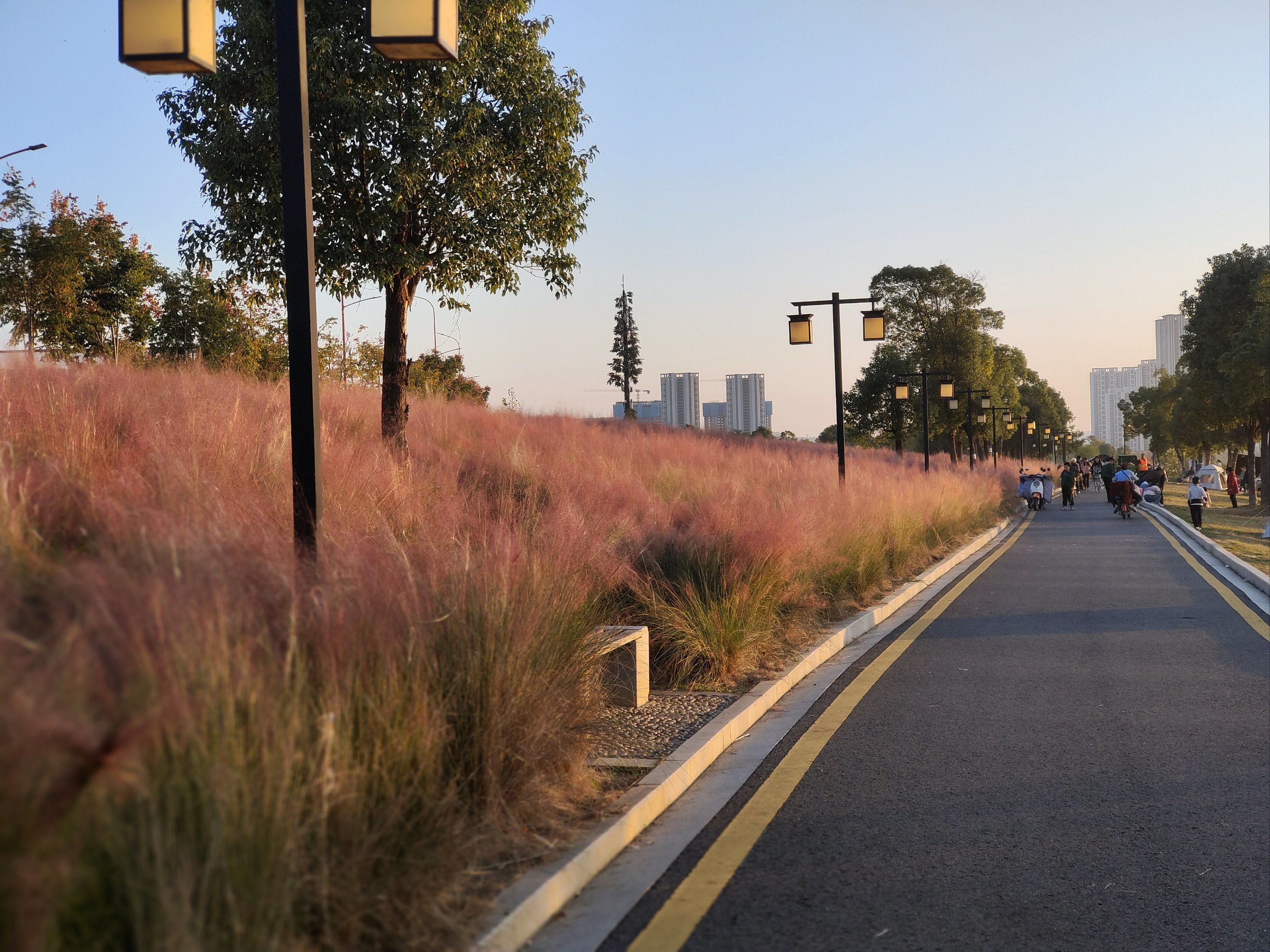 「黄家湖生态湿地公园」