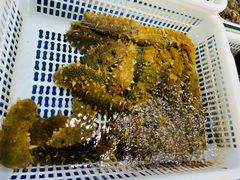 -千岛海鲜(中南路店)