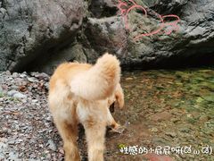 -云岫谷自然风景区